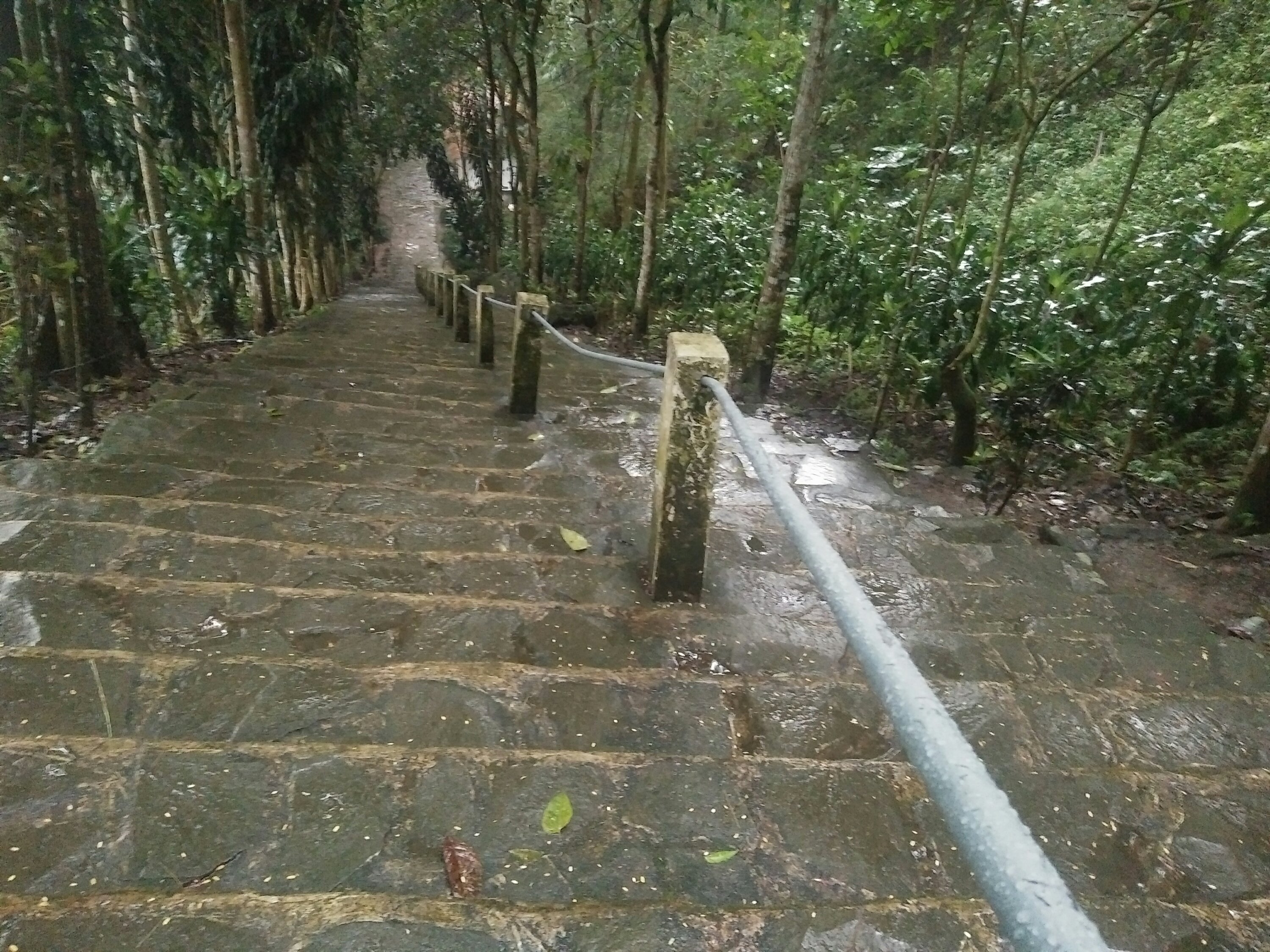 Suasana Alam